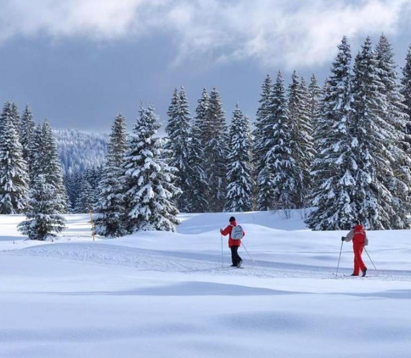 Gite Au Coeur Du Jura Entre Comte Et Vin Jaune, Gite Vin Jaune Chamole ภายนอก รูปภาพ